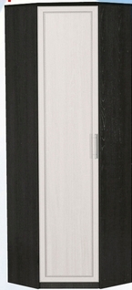 Шкаф для одежды угловой ДЛЯ ГОСТИНОЙ ШОУ-695 Венге/Дуб выбеленный в Алдане - aldan.katalogmebeli.com | фото