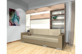 Шкаф-кровать с диваном Каролина в Алдане - aldan.katalogmebeli.com | фото 4